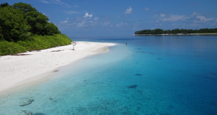 Maldive Alternative