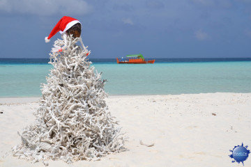 Maldive Alternative Natale