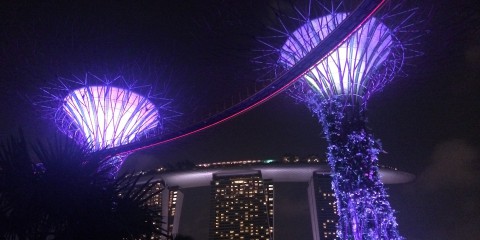 Gardens by the Bay - Singapore