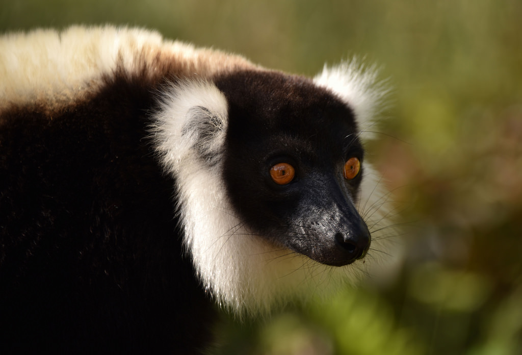 Turismo Sostenibile Madagascar