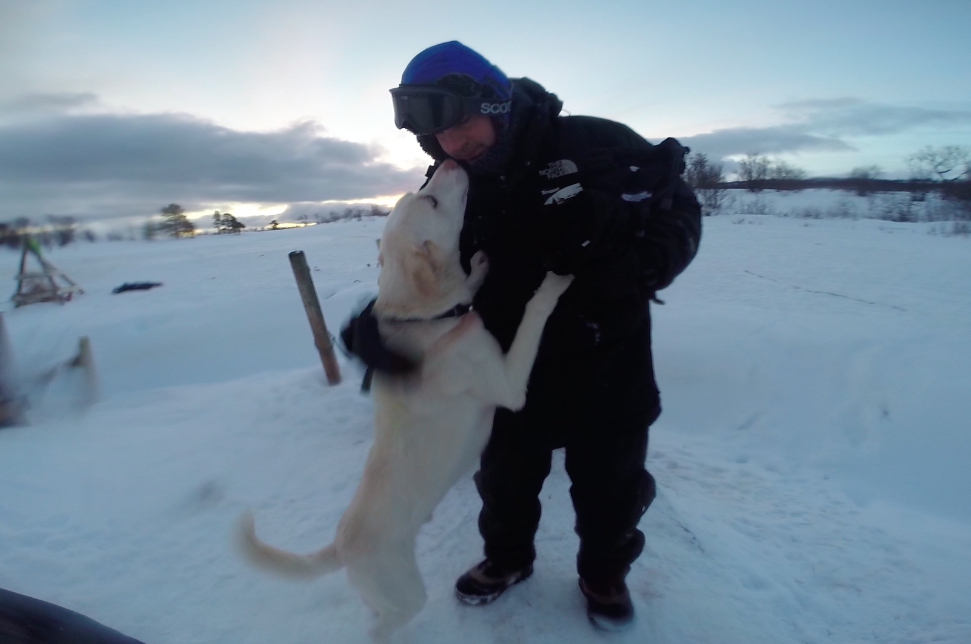 Viaggio in Norvegia: slitta con i cani