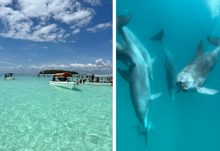 Viaggio di gruppo a Zanzibar