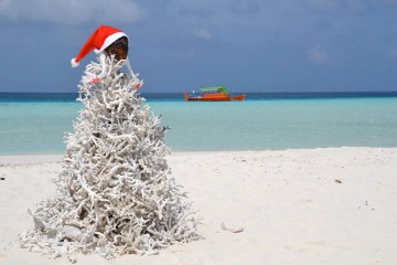 Offerte Maldive Natale Capodanno Guest house